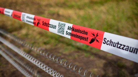 Ein rot-weißes Absperrband vor einer Wiese, darunter ist Stacheldrahtzaun. Auf dem Absperrband steht: Schutzzaun Afrikanische Schweinepest. © picture alliance/dpa | Christoph Schmidt Foto: Christoph Schmidt