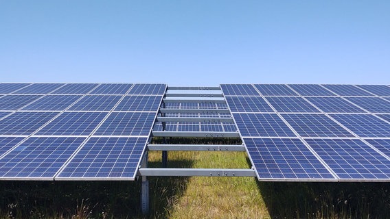 Blick auf einen Freiflächen-Solarpark. © NDR Foto: Peer-Axel Kroeske