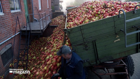 Eine großer Apfeltransport wird entladen. © NDR 