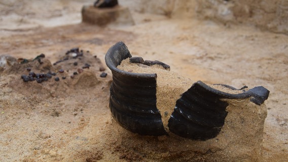 Bei einer Ausgrabung freigelegte Gefäße © Archäologisches Landesamt Schleswig-Holstein Foto: Archäologisches Landesamt Schleswig-Holstein