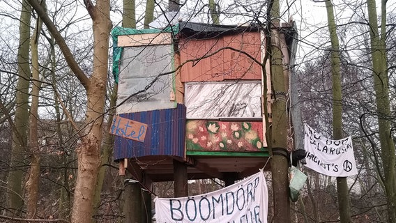 Die Aktivisten haben ein großes Baumhaus gebaut, welches als "Hotel" betitelt wird.  Foto: Simone Steinhardt