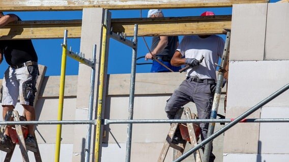 Handwerker beim Bau eines Hauses. © picture alliance Foto: Udo Herrmann