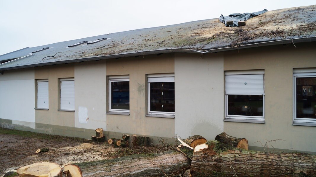 Baum fällt auf Lübecker NDR.de Nachrichten