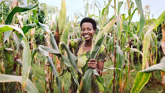 Kleinbäuerin Claudine Hashazinyange bei der Maisernte. © Kathrin Harms/Brot für die Welt 