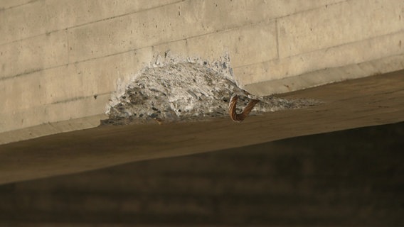 Beschädigung einer Brücke auf der A1 bei Lensahn. © Daniel Friederichs Foto: Daniel Friederichs