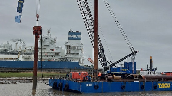 Ein Pfahl wird in einem Hafen in die Erde getrieben © NDR Foto: Pauline Reinhardt