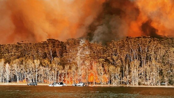 Australien Kieler Auf Der Flucht Vor Den Flammen Ndr De Nachrichten Schleswig Holstein