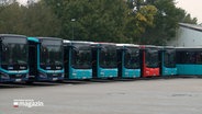 Mehrere Busse sind nebeneinander geparkt. © NDR 