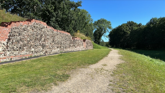 Die Waldemarsmauer am Danewerk mit alten Ziegeln, die von neueren ummauert sind, ragt aus dem begrasten Wall an einem Feldweg heraus. © NDR Foto: Ben Armstrong