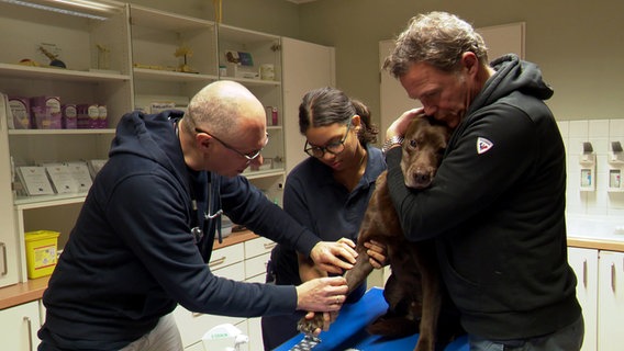 Ein Mann hält seinen Hund bei einem Tierarztbesuch, während der Hund einen Zugang bekommt. © NDR 