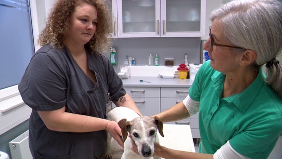 Eine Tierärztin und eine Helferin behandeln einen Hund in einem Behandlungsraum einer Tierarztpraxis. © NDR 