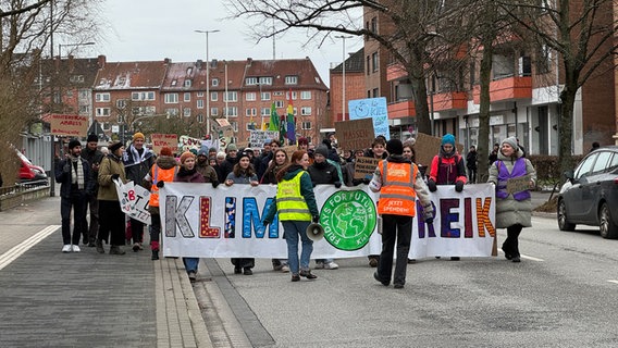 Eine Demo von Fridays for Future in Kiel. © NDR 