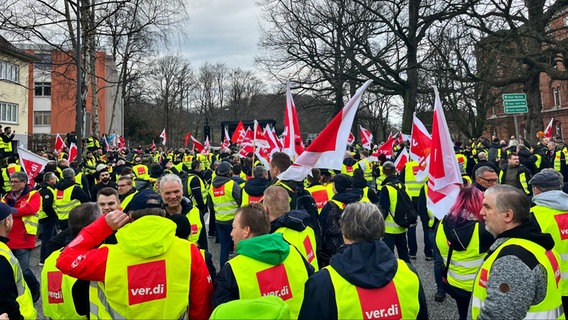 Mehrere Menschen mit Streikwesten und Fahnen mit der Aufschrift "ver.di" stehen vor dem Landeshaus in Kiel und demonstrieren © NDR Foto: Christian Nagel