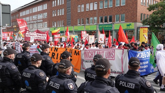 Eine Demonstration in der Kieler Innenstadt © NDR Foto: Carsten Salzwedel