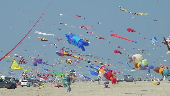 Bunte Flugdrachen am Strand. © Baltic Kite Freinds 