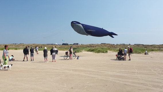 Ein Blauwal-Drachen in der Luft am Strand. © Baltic Kite Freinds 