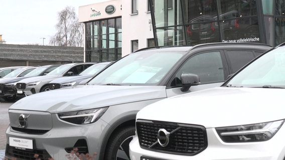 Vor einem Autohaus stehen mehrere Neuwagen in Reihe. © NDR Foto: Julia Schwenzer