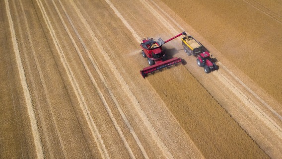 Ein Gerstenfeld von oben, auf dem ein Mähdrescher erntet. © dpa Bildfunk Foto: Christian Charisius