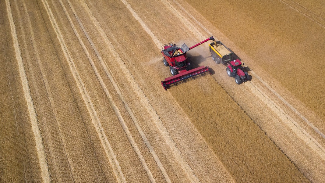 Viel Regen: Landwirte ziehen durchwachsene Ernte-Bilanz