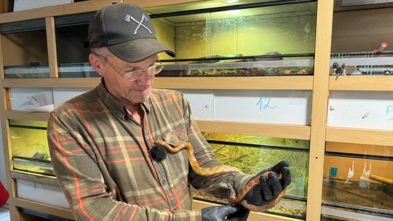 Ein Mann steht vor einigen Terrarien und hält eine Schlange auf dem Arm © NDR Foto: Karen Münster