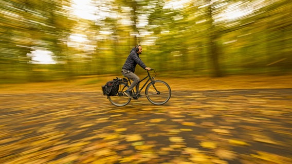 Ein Mann fährt mit einem Fahrrad durch den herbstlichen Park. © Picture Alliance Foto: Halil Sagirkaya