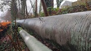 Ältere ca. 50 Zentimeter dicke Fernwärmerohre verlaufen an einem Bahndamm in Flensburg mit viel Gestrüpp. © NDR Foto: Peer-Axel Kroeske