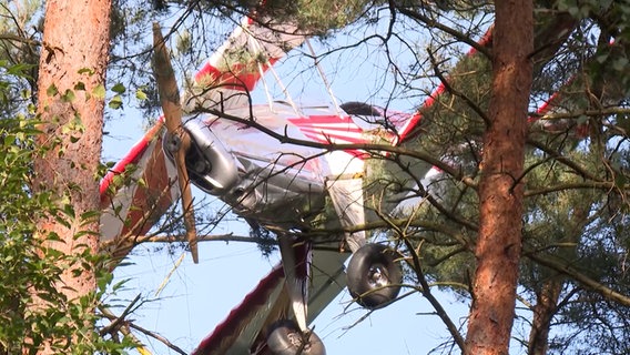 Ein Flugzeug steckt in dem Baumwipfeln in einem Wald © NDR Foto: NDR Screenshot