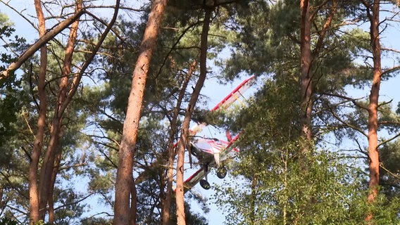 Ein Flugzeug steckt in dem Baumwipfeln in einem Wald © NDR Foto: NDR Screenshot