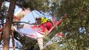 Ein Flugzeug hängt in einer Baumkrone, eine Person in Rettungsweste klettert hinein. © NDR Foto: NDR Screenshot