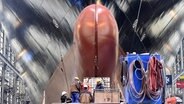 Werftarbeiter stehen vor dem Stapellauf der Fähre "Gardenia Seaways" auf der Werft der Flensburger Schiffbaugesellschaft. © dpa-Bildfunk Foto: Carsten Rehder/dpa