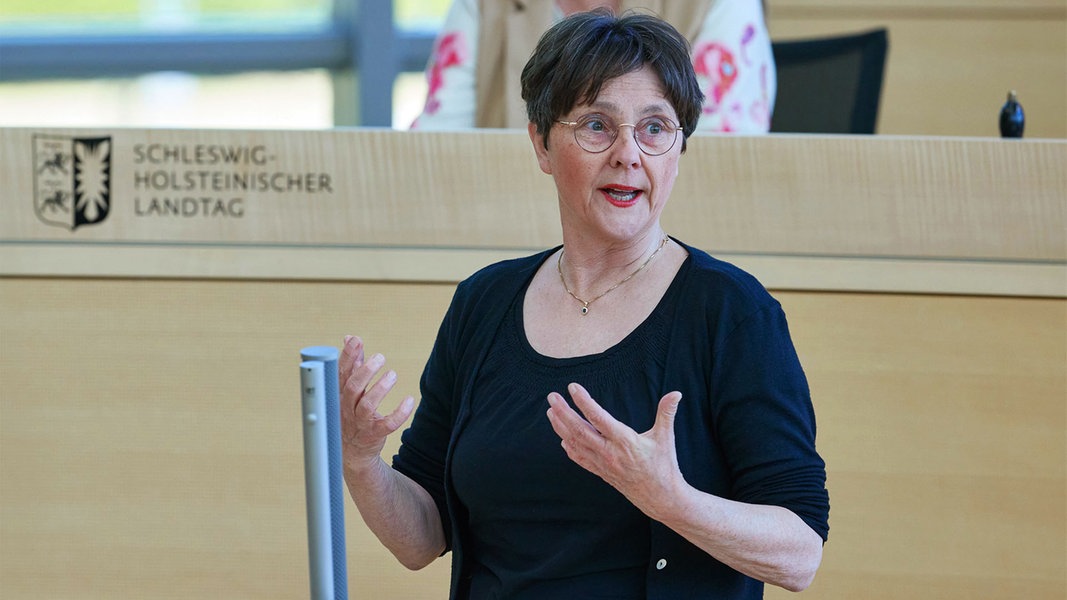 Monika Heinold (Bündnis90/Die Grünen), Finanzministerin von Schleswig-Holstein, spricht im Landtag in Schleswig-Holstein.