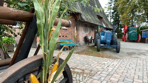 Auf einem Hof stehen mehrere alte Landwirtschaftliche Geräte. © NDR Foto: Torsten Creutzburg