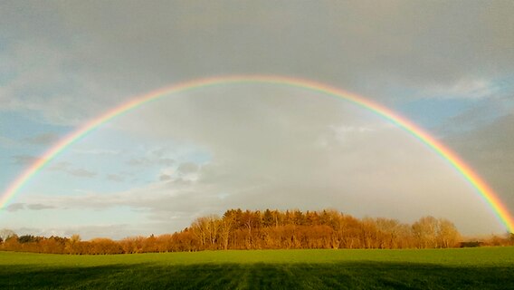 Großer Regenbogen am Himmel über einem Feld und Bäumen. © Janina Schröter Foto: Janina Schröter