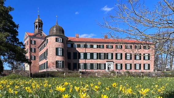 Eutiner Schloss mit Osterglockenwiese. © Marion Prieß Foto: Marion Prieß