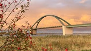 Die Fehmarnsundbrücke im Morgenlicht. © NDR Foto: Stefan Lunk