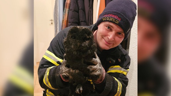 Ein Feuerwehrmann hält einen Waldkauz in den Händen. © Freiwillige Feuerwehr Bad Oldesloe 