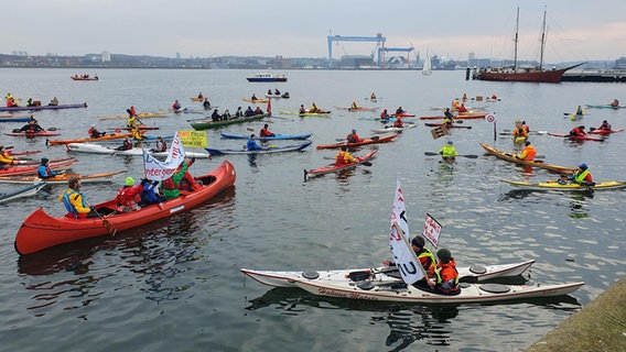 Mehrere Kayaks auf dem Wasser der Kieler Förde als Teil einer Demonstration © NDR Foto: Carsten Salzwedel