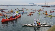 Mehrere Kayaks auf dem Wasser der Kieler Förde als Teil einer Demonstration © NDR Foto: Carsten Salzwedel