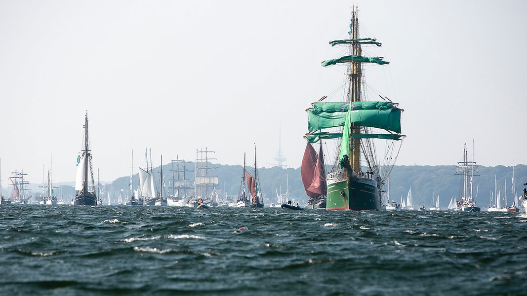 Zahlreiche Segelschiffe sind bei der Windjammerparade 2020 in der Kieler Förde unterwegs