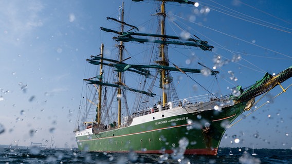 Die Bark «Alexander von Humboldt II» liegt während der Windjammer-Parade in der Förde auf Kurs. © dpa-Bildfunk Foto: Frank Molter