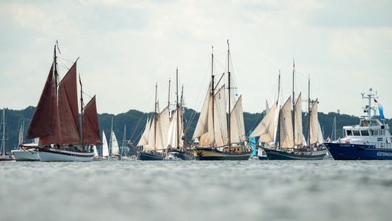 Zahlreiche große und kleine Segelschiffe fahren während der Windjammerparade auf der Kieler Förde. © dpa-Bildfunk Foto: Jonas Walzberg