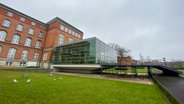 Möwen sitzen auf dem Rasen vor dem Landtag-Gebäude in Kiel. © NDR Foto: Fabian Boerger