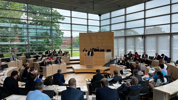 Minister Claus Ruhe Madsen hält eine Rede im Schleswig-Holsteinischen Landtag. © NDR Foto: Constantin Gill