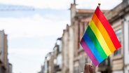 Eine Flagge der LGBTQ-Bewegung wird hochgehalten. © picture alliance / NurPhoto Foto: Rita Franca