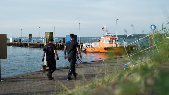 Zwei Männer gehen am Bootsanleger entlang. © NDR Foto: Dominik Dührsen