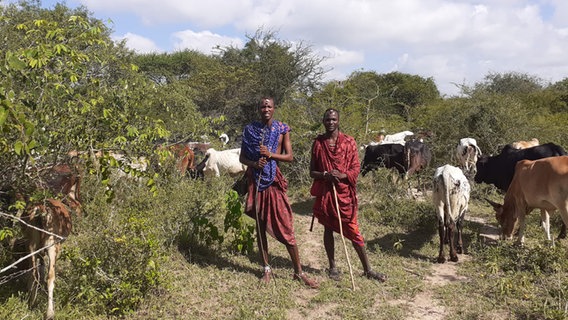 Upndo Oropi Kinoka und sein Bruder Mirakawa umgeben von Rindern. © Upendo Oropo Kinoka 