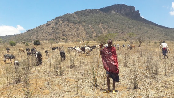 Upendo Oropi Kinoka mit einer Rinderherde in Tanzania. © Upendo Oropi Kinoka 