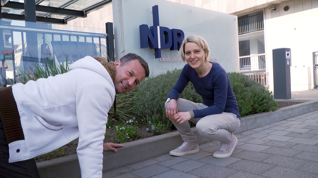 Heute Im Schleswig-Holstein Magazin | NDR.de - Fernsehen - Sendungen A ...