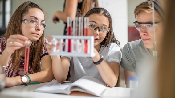 Schülerinnen und Schüler schauen sich gemeinsam in einem naturwissenschaftlichen Raum in der Schule ein Expiremt an. Dabei hält eine Person Reagenzgläser in der Hand. © picture alliance / Westend61 Foto: zerocreatives