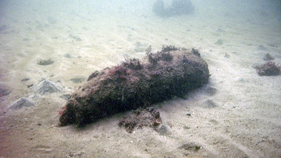 Eine Bombe schlummert auf dem Meeresboden. © PIZ Marine Foto: PIZ Marine
